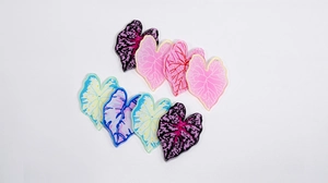 Détails macro de breloques feuilles en acrylique aux motifs botaniques pour bijoux DIY