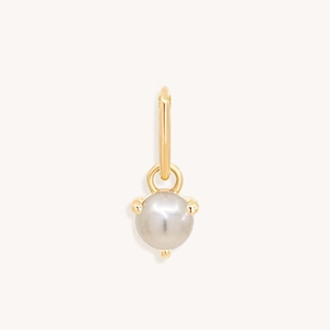 Detailopname van grijze parelhanger met gouden klauwzetting en ronde hanger op witte achtergrond