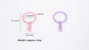 Detail van kleurrijke sleutelhangers met 30,1 mm buitendiameter en 53,1 mm lengte