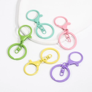 Set di portachiavi a moschettone opachi colorati in verde rosa giallo e viola zinco