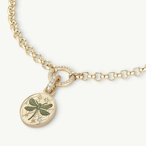 Detailed macro view of gold titanium necklace chain with dragonfly oval pendant