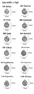 Detailed view of stainless steel zodiac charms measuring 17mm by 21mm in silver finish