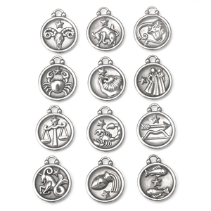 Set of 12 stainless steel zodiac sign pendants in silver matte finish for DIY jewelry
