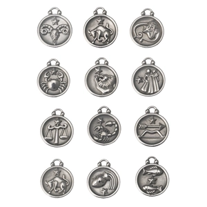 Set of 12 silver stainless steel zodiac charms for DIY bracelets and necklaces