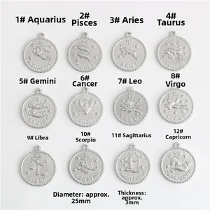 Dettaglio di 12 ciondoli zodiacali in acciaio argentato, diametro 25mm per pezzo