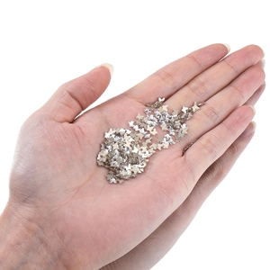 Vue macro de petites paillettes papillon argentées pour la décoration des ongles