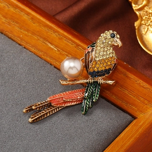 Detailed view of parrot brooch with colorful rhinestones and pearl on premium silk