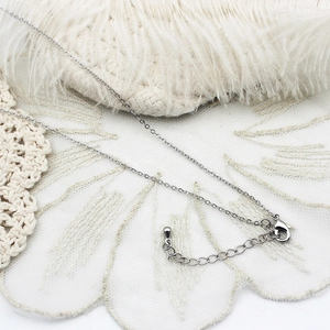Dettaglio della collana a catena silver con chiusura a moschettone e prolunga regolabile