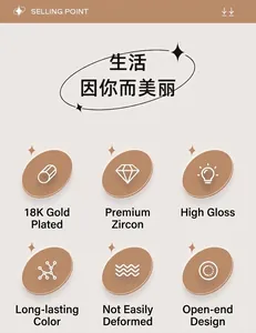 Details zur 18K-Vergoldung und Zirkon-Inlay für diesen verstellbaren Drehring