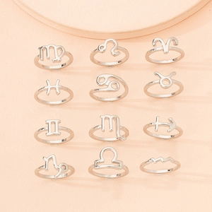 Set of 12 minimalist silver zodiac sign rings in stainless steel with a smooth finish