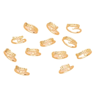 Set of 11 adjustable 18K gold plated stainless steel zodiac rings with heart charms