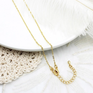 Detail van 18K vergulde ketting met karabijnsluiting en verstelbare verlengketting