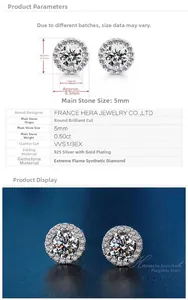 Gros plan de boucles d'oreilles halo en argent 925 avec zircon de 5mm et micro-pavé