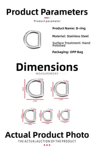 Polished stainless steel D-ring hardware in various sizes from 14mm to 25mm inner diameter