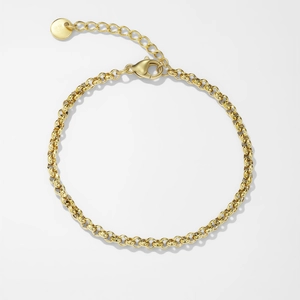 Pulsera de cadena rolo dorada pulida con cierre de mosquetón y placa ajustable