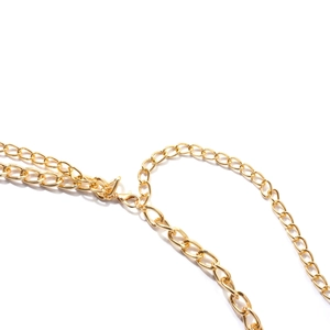 Macro view of the golden lobster clasp and adjustable extension chain on the body link