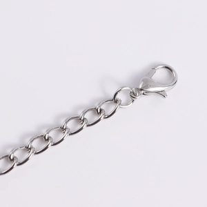 Macro detail of silver lobster clasp and polished metal chain link for necklaces