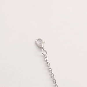 Macro detail of a silver lobster clasp and steel link chain for shell waist jewelry