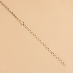 Detailed view of silver metal chain links with shell pendant extension clasp