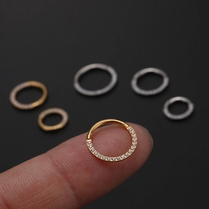 Hinged stainless steel segment ring with cubic zirconia in gold and silver finish