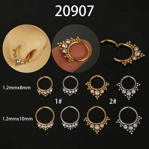 316L Edelstahl Nasenring Mit Scharnier Zirkonia Eingelegte Creolen Septum Piercing Körperschmuck Für Damen Herren Zubehör