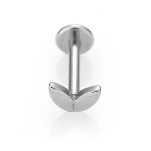 Λήψη macro από ασημί σκουλαρίκι labret από ανοξείδωτο ατσάλι με διακόσμηση φύλλου