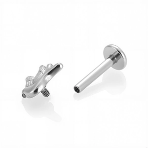 Piercing labret in acciaio 316L con uccello in zircone 5A per labbro e cartilagine orecchio