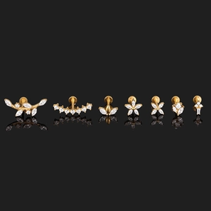 Detail of 7-piece golden leaf crown stainless steel zircon stud earrings and lip rings set