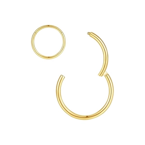 Polished G23 titanium gold hinged clicker hoops for ear and nose piercings on white background