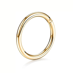 Detailed macro view of the seamless G23 titanium clicker ring with a polished gold finish