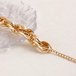Macro shot of polished gold aluminum chain links and adjustable necklace clasp detail