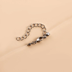 Detail of silver extender chain with lobster clasp and cute cat charm for necklaces
