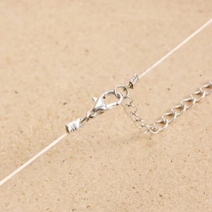 Detailed macro view of the silver lobster clasp and adjustable metal chain on a necklace