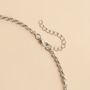 Macro shot of a silver lobster clasp and adjustable extension chain on bird skull necklace