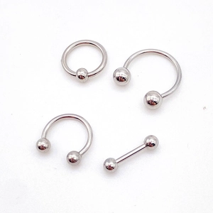 Detail-Set aus silbernem Edelstahl-BCR-Ring, Hufeisen-Barbells und geradem Piercingstab