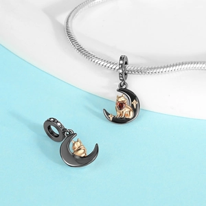 Detail of black moon and gold cat charms with red heart stone on a silver snake chain