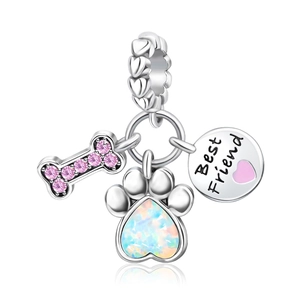Detail of silver pet paw pendant with pink zircon bone and Best Friend heart charm