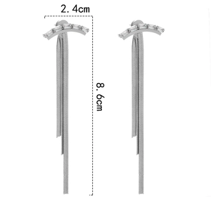 Detailed view of silver long fringe earrings with dimensions 2.4cm width and 8.6cm length