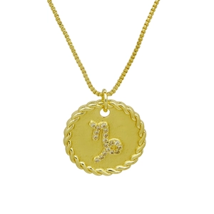 Dettaglio ravvicinato della collana a moneta dorata con costellazione zodiacale Capricorno