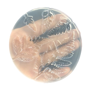 Moule circulaire en silicone pour résine DIY avec motifs de feuilles de fougère détaillés