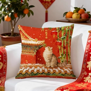 Detail of red festive Chinese New Year cushion cover with cat and lantern illustration