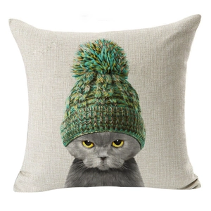 Modern square cushion cover featuring a British Shorthair cat wearing a knit beanie hat