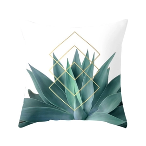 Tropical succulent plant pillow cover with white base and golden geometric frames