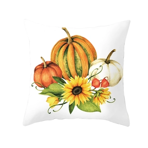 Close-up of Thanksgiving pillow cover with pumpkin and sunflower illustration on white