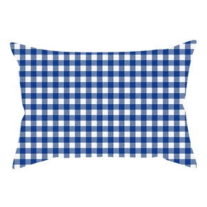 Detail view of the classic blue and white gingham textured pattern on the rectangular cushion cover