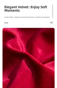 Gros plan du coussin de mariage rouge montrant la texture douce du velours et détails