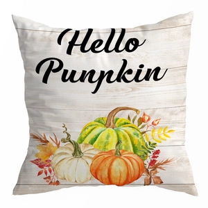 Hello Pumpkin autumn pillow case with watercolor harvest pumpkins on wood background
