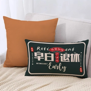 Detail of green lumbar pillow with Retirement Early text and festive Chinese elements