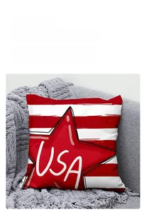 Close-up of linen cushion cover with USA star and red white stripes on a sofa