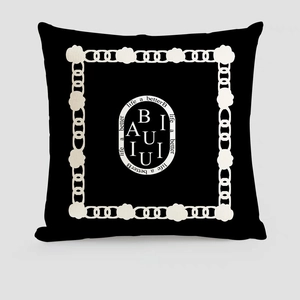 Housse de coussin bicolore minimaliste avec motif de cadre ovale et lettrage chic